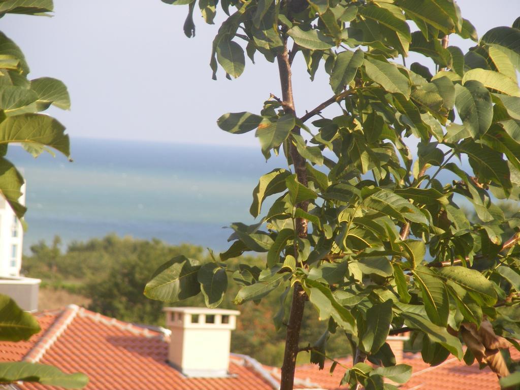 Guest House "Zora - Sarafovo" Burgas ภายนอก รูปภาพ